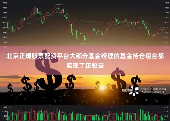 北京正规股票配资平台大部分基金经理的基金持仓组合都实现了正收益
