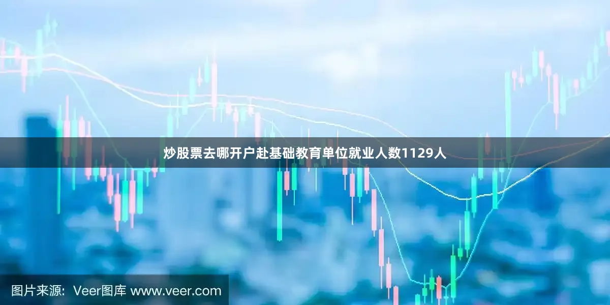 炒股票去哪开户赴基础教育单位就业人数1129人