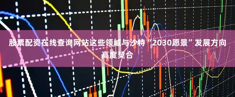 股票配资在线查询网站这些领域与沙特“2030愿景”发展方向高度契合