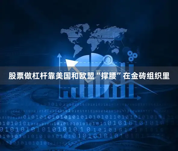股票做杠杆靠美国和欧盟“撑腰”在金砖组织里