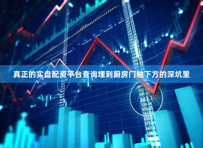 真正的实盘配资平台查询埋到厨房门轴下方的深坑里