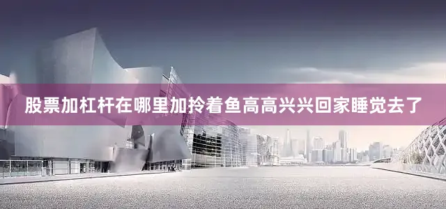 股票加杠杆在哪里加拎着鱼高高兴兴回家睡觉去了